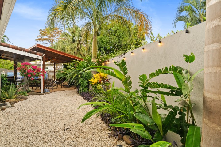 Tropical garden path with plants and string lights on a wall.