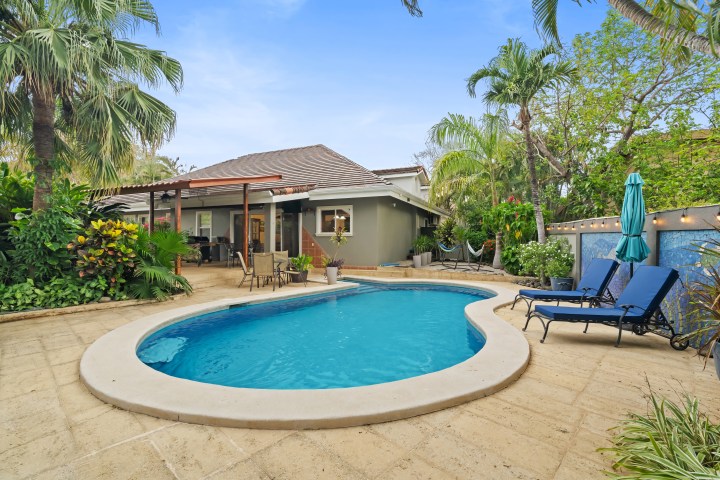 Backyard with pool, lounge chairs, hammock, and tropical plants.