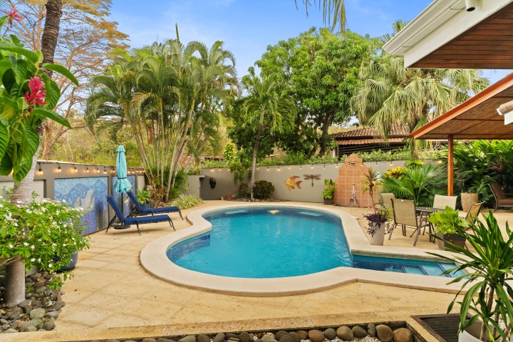 Tropical backyard with a kidney-shaped pool, lounge chairs, and lush greenery.