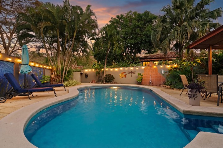 Backyard pool area with lounge chairs, palm trees, and evening lights.
