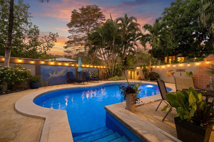 A backyard pool surrounded by plants and string lights at sunset.