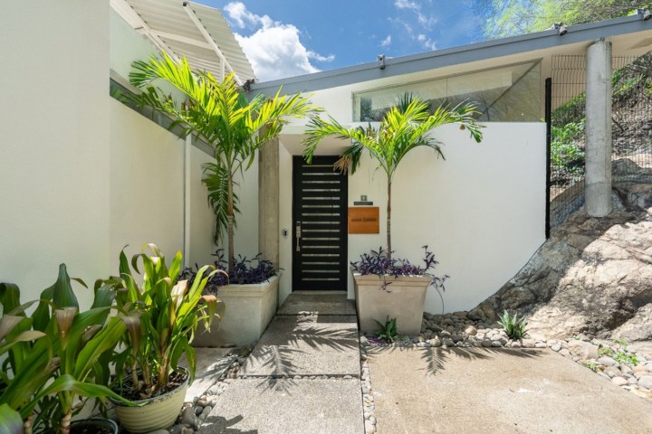 Modern house entrance with potted plants and black-striped door.