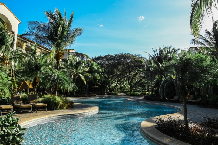 Tropical resort pool surrounded by palm trees under a clear blue sky.