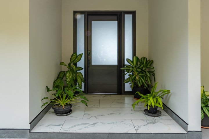 Glass door entry with four potted plants on tiled floor.