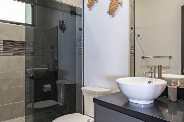 Modern bathroom with glass shower, white sink, and decorative fish on the wall.